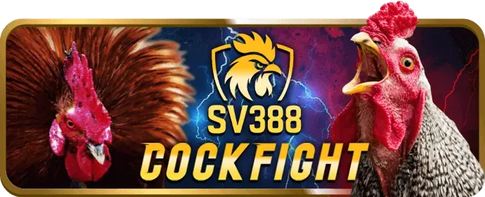 Ưu Đãi VIP jun88v8 casino
